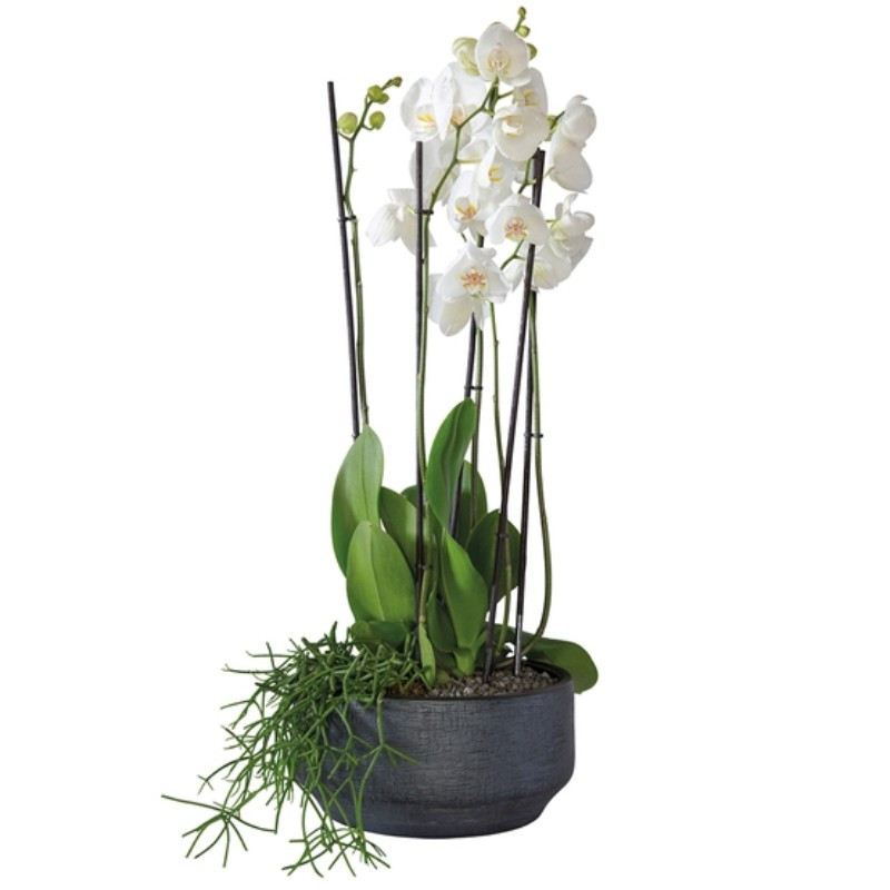 WHITE ORCHIDS ARRANGEMENT