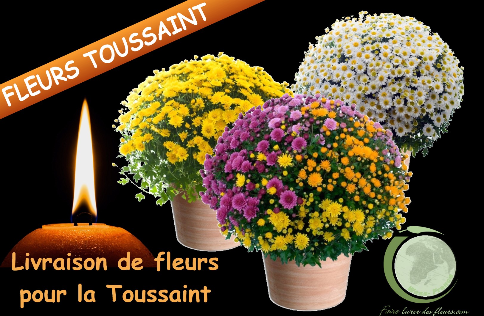 FLEURS TOUSSAINT Livraison de fleurs sur tombes à la TOUSSAINT par un fleuriste.  Large collection de bouquets et plantes Toussaint, Livraison fleurs sur tombe, réalisés par un artisan fleuriste.  Fleurs Toussaint, chrysanthèmes, plantes cimetière. Livraison de fleurs à la Toussaint par un fleuriste. Découvrez nos compositions florales et chrysanthèmes spécial Toussaint, livraison sur tombe, livraison au cimetière.