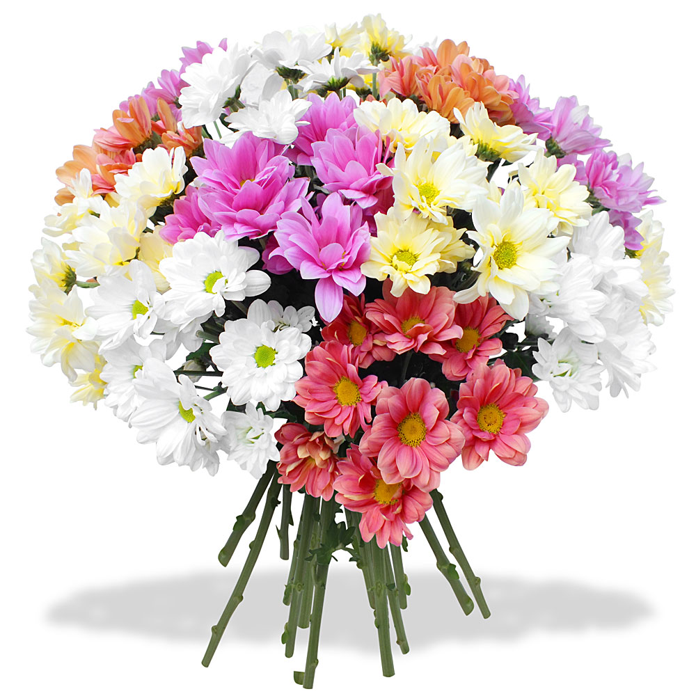 LES bouquets DE FLEURS DEUIL FONTENELLE